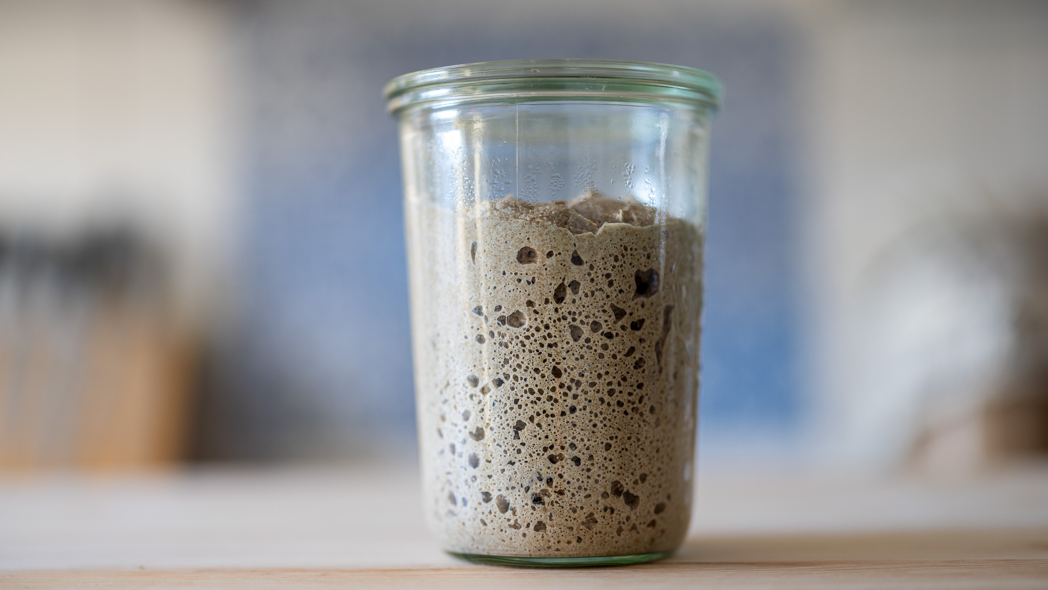 Healthy and active sourdough starter